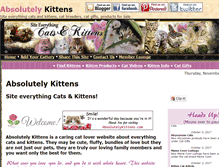 Tablet Screenshot of absolutelykittens.com